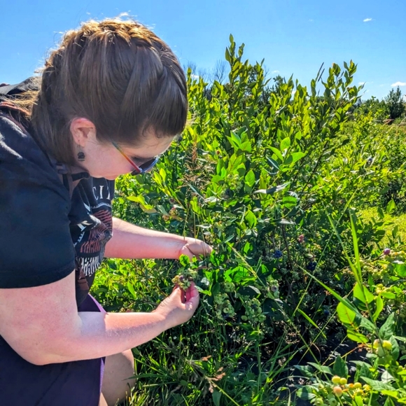 Meet your Posher, Em - Picture 1 of 1